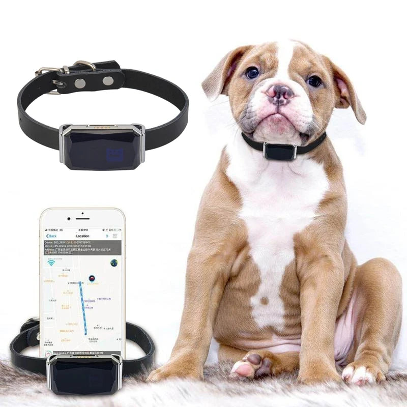 Waterproof GPS Pet Tracker
